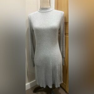 Express Sweater Dress